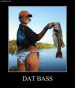 Dat_Bass914.jpg