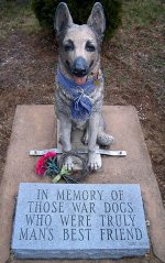 veterandog.jpg