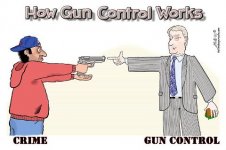 How Gun Control Works.jpg