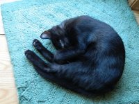 DSCN3730.jpg