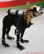 funny-gun-pictures-4.jpg