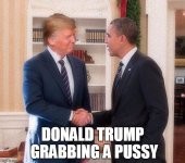 TrumpPussy.jpg